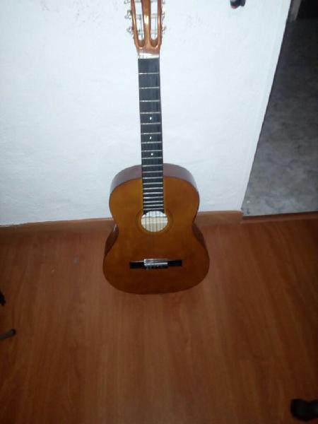Guitarra Palmera