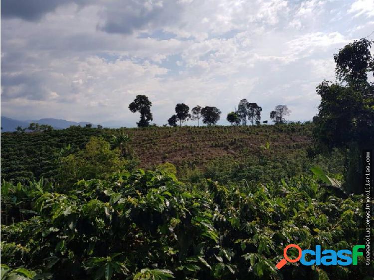 VENDE FINCA EL CAIMO PLANA