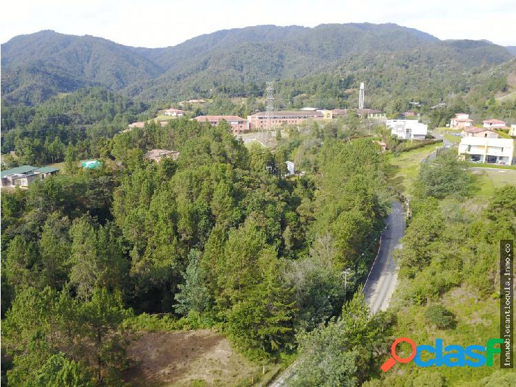 lote comercial loma del escobero