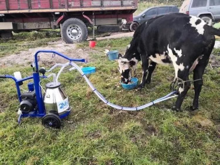 Maquinas de Ordeño para Vacas Y Cabras I