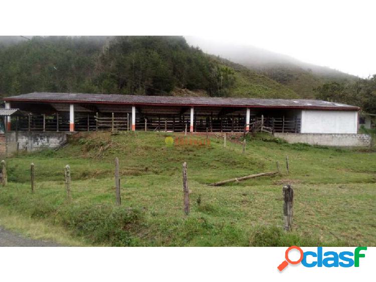 Venta de finca en suroeste Urrao Antioquia