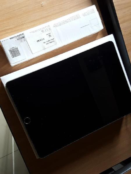iPad 6 con Lapiz