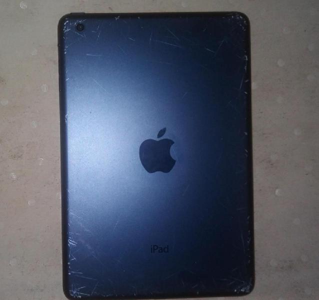 iPad mini 2