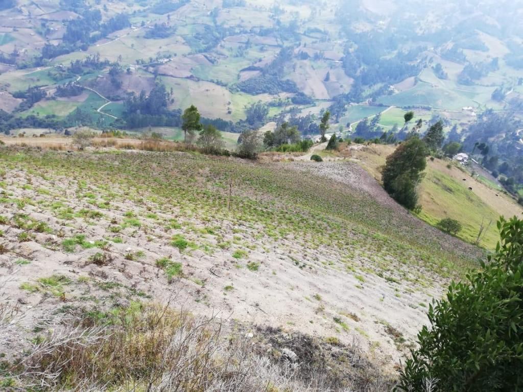 Vendo terreno  metros cuadrados