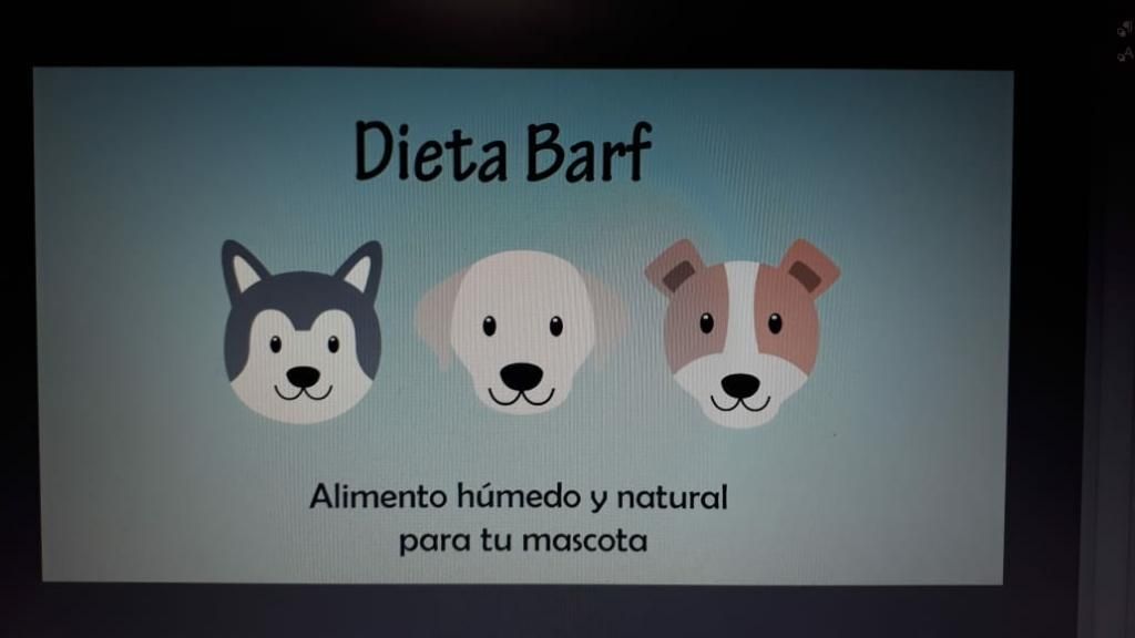 Dieta Barf Humeda para Perros