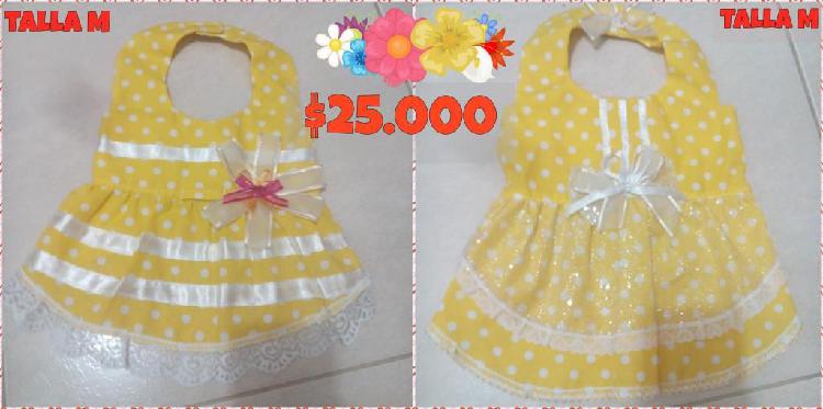 ROPA PARA MASCOTAS