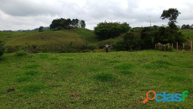 Vendo hermoso lote, la mejor vista y ubicación Circasia