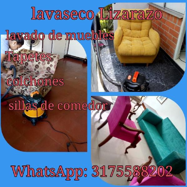 Lavado de Muebles 3187520841 Domicilio