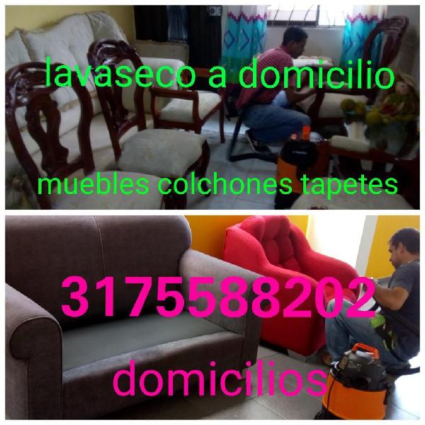 Lavado de Muebles Tapetes 3187520841