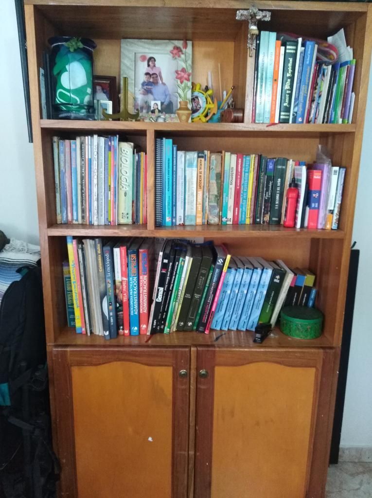 Vendo Mueble Biblioteca