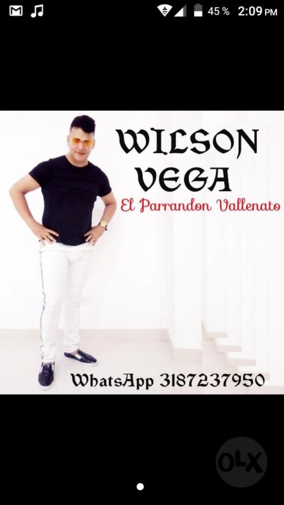 Wilson Vega La Parranda Vallenata Típica