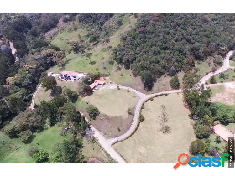 Lote en VENTA en LA CEJA - OCCIDENTE