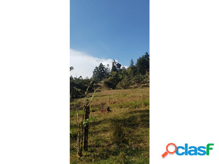 VENTA DE LOTE EN TIBIRITA