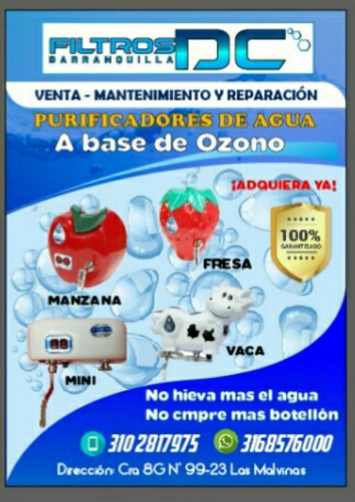 Filtro de Ozono Bono Xa Mantenimiento