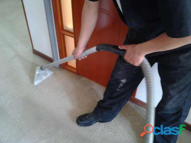 Mr. Cleaning Lavado de Tapetes 3203819674