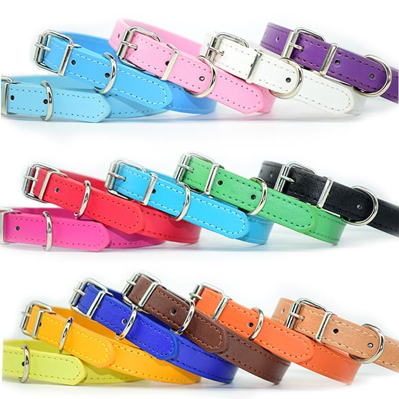 Collar mascota colores