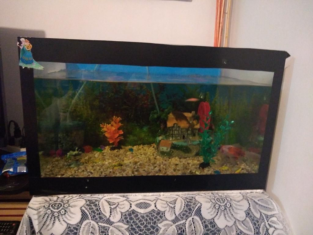 Se Vende Acuario