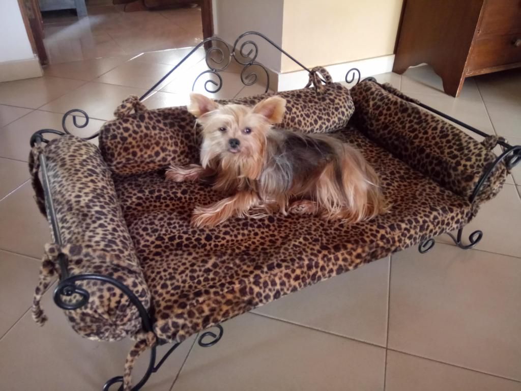 Vendo cama lujo para mascota sin uso