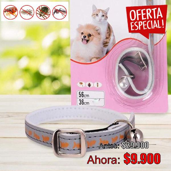 Collar de 36cm para gatos y perros pequeños antipulgas