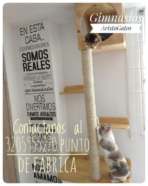 Gimnasios para Gatos Aristogatos