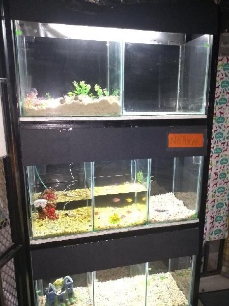 Venta Acuario Y Accesorios