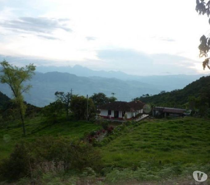 Venta de finca en Fredonia, (Antioquia)