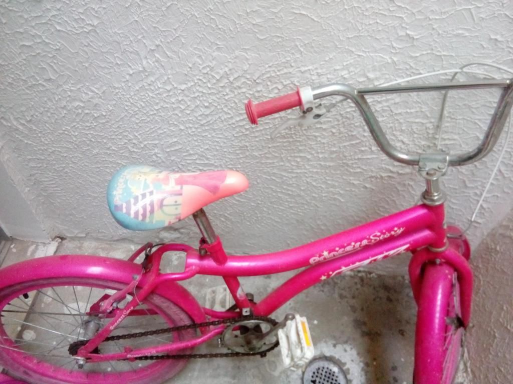 Bicicleta de nia