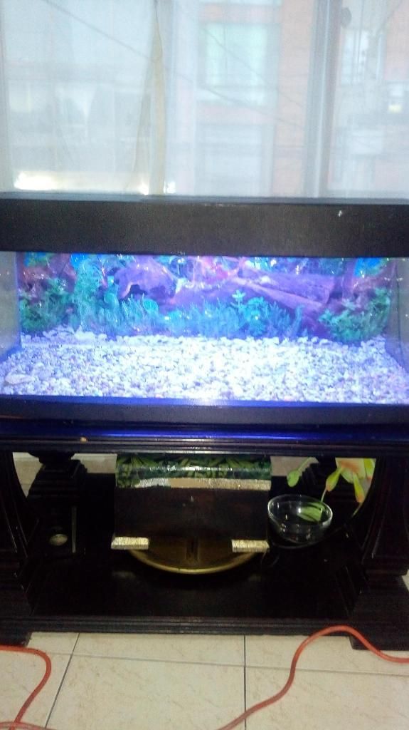 Acuario Como Nuevo