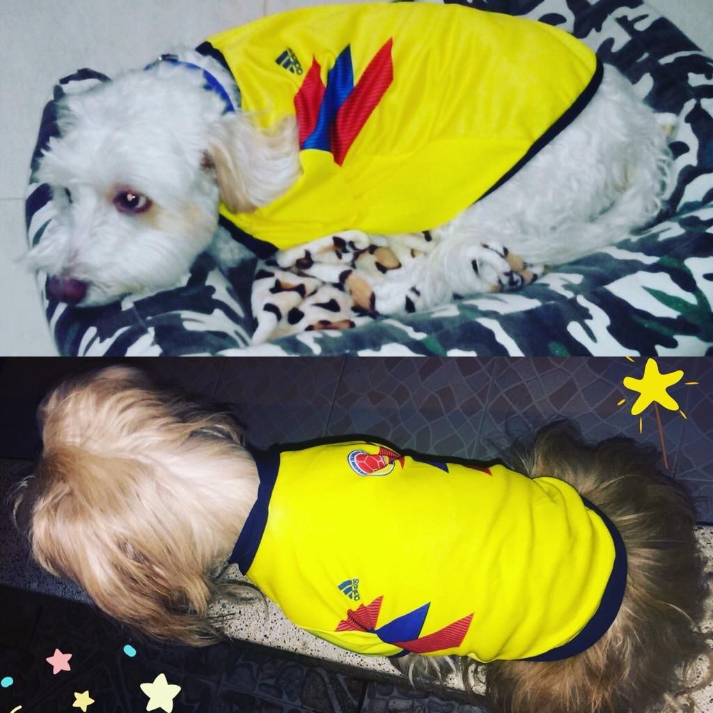 Camiseta Colombia Mascotas Grandes