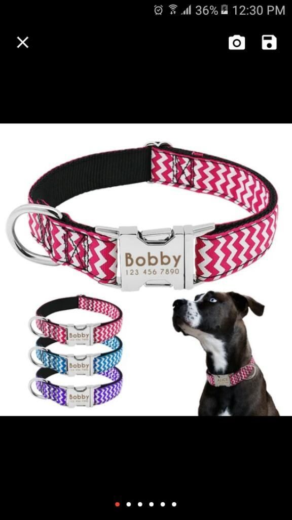 Espectacular Collar para Tu Mascota