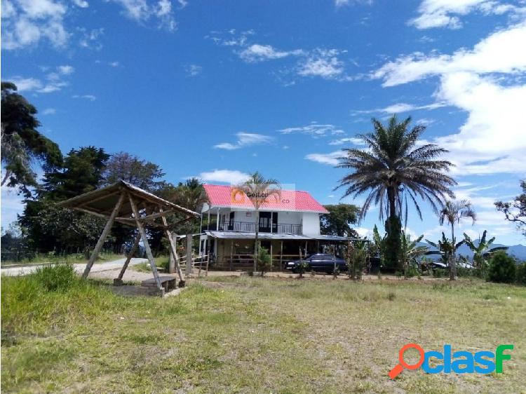 EN VENTA FINCA TIMBIO VEREDA SILOE