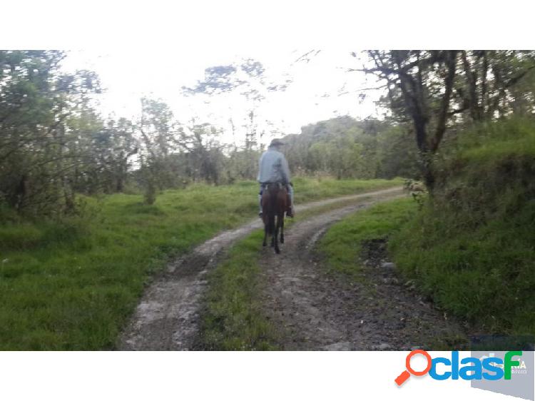 Finca de Producción en La calera Cundinamarca