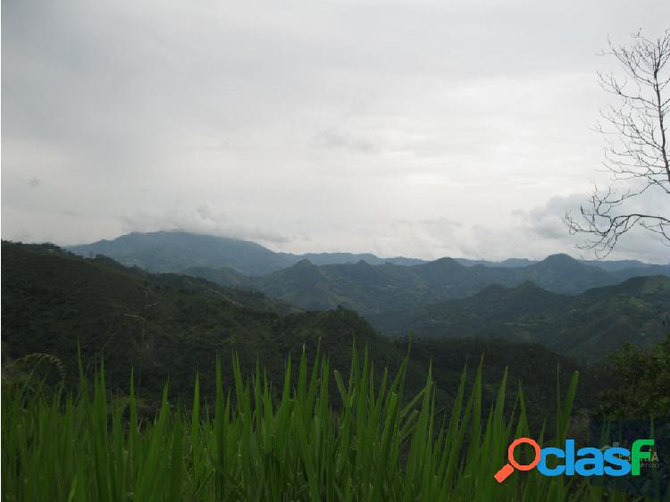 Lote en venta en La Vega Cundinamarca