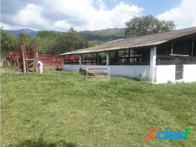 Se vende Finca en Manizales Caldas