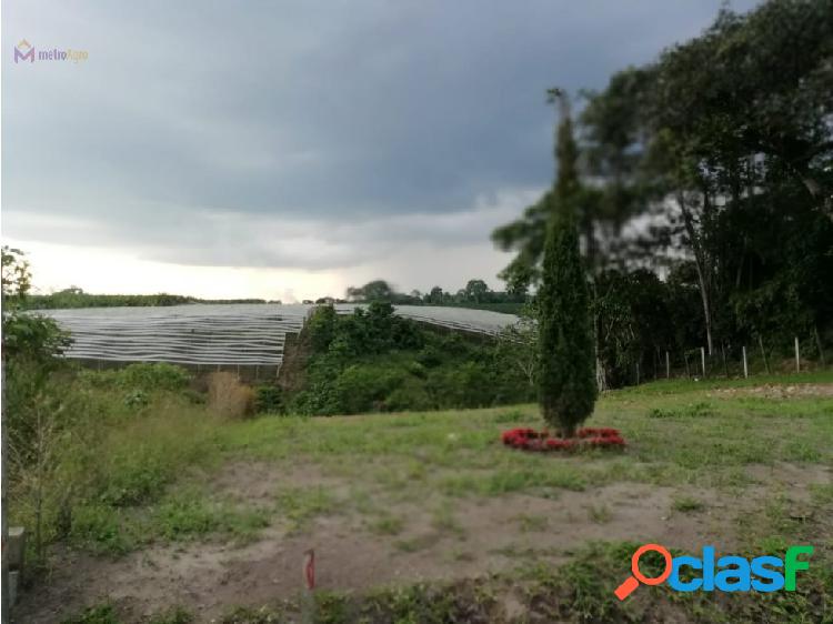 VENTA DE LOTE VDA EL AGUACATAL X LA BELLA CALARCA