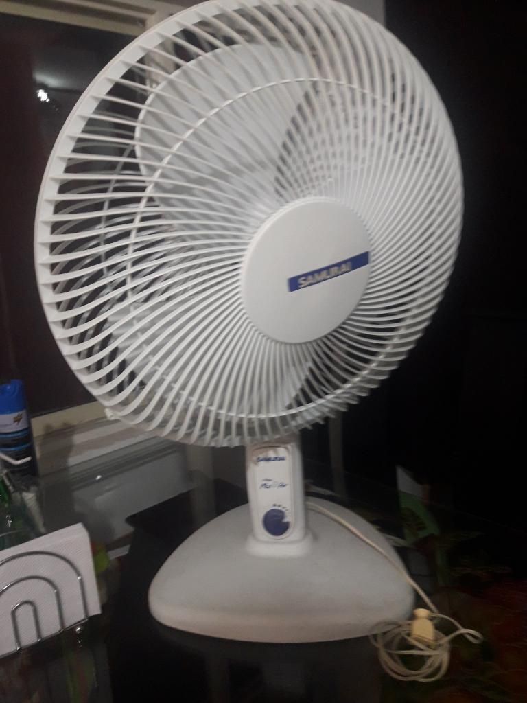 Ventilador Grande