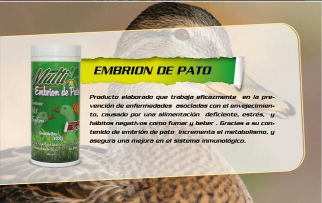 PLANET PHARMA TRAE PARA USTED EMBRION DE PATO