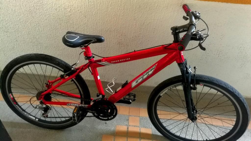 Bicicleta Gw Lince Gangazo