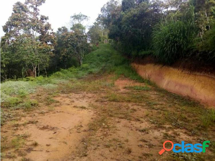 Lote Rionegro San Luís 180 mill 5 mil mts