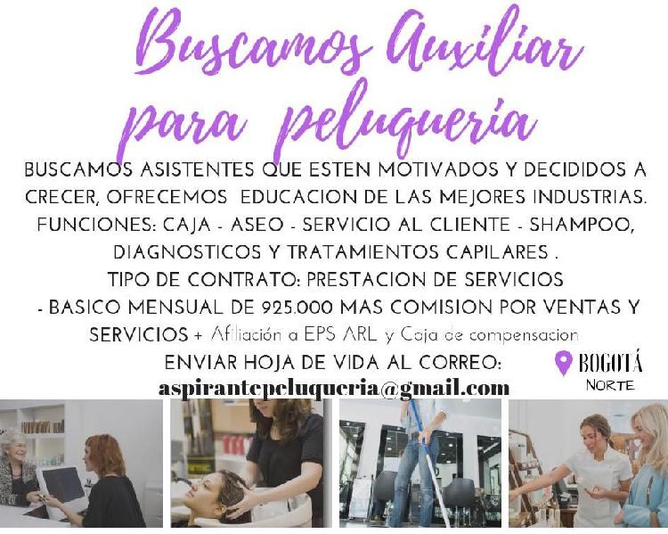 Buscamos Auxiliar Peluqueria