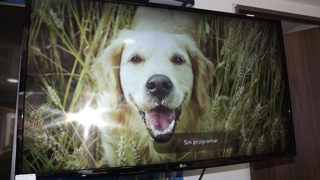 smart tv LG 43 pulgadas