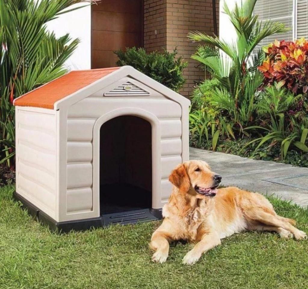 Casa para Mascota