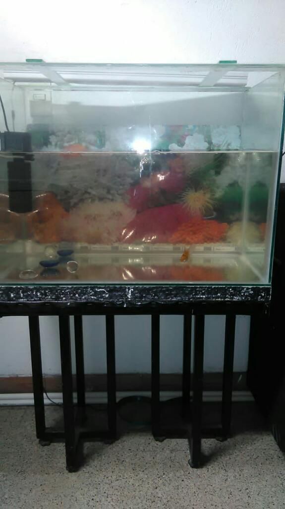 Pescera