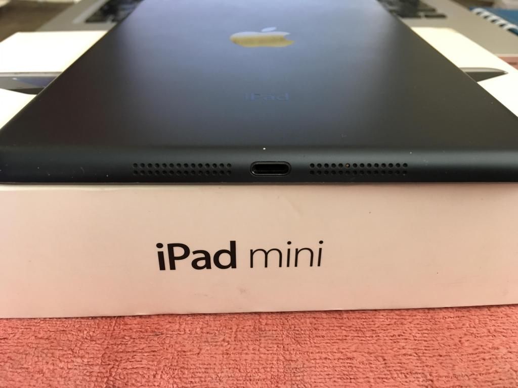iPad Mini 16 Gb Estuche Caja Cable Y Cargador