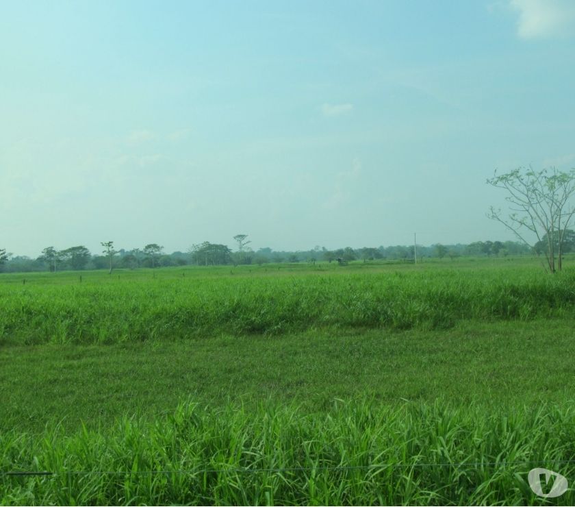 SE VENDE FINCA DE  HECTAREAS TODA PLANA 100%