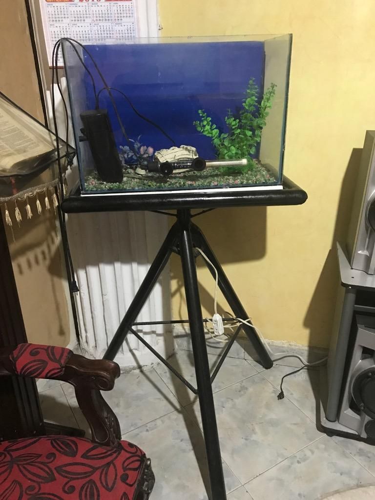Pecera con Todo