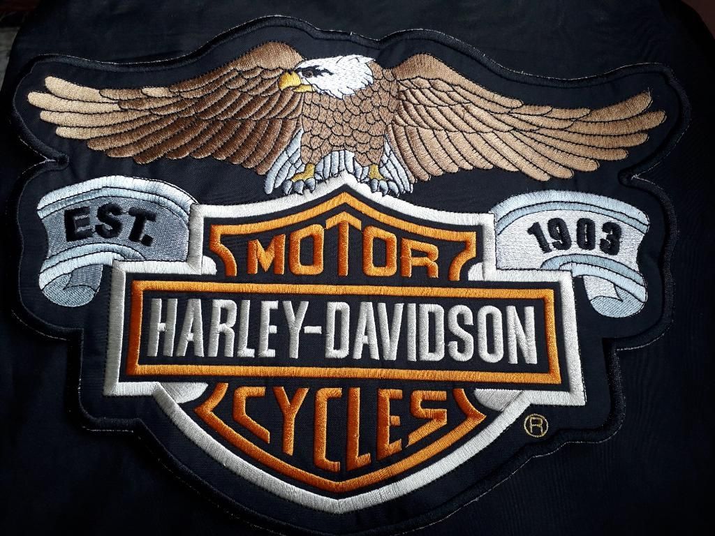 Parche Logo Harley Davidson
