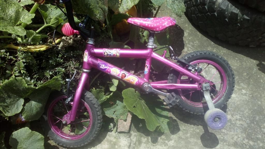 Bicicleta de Niña