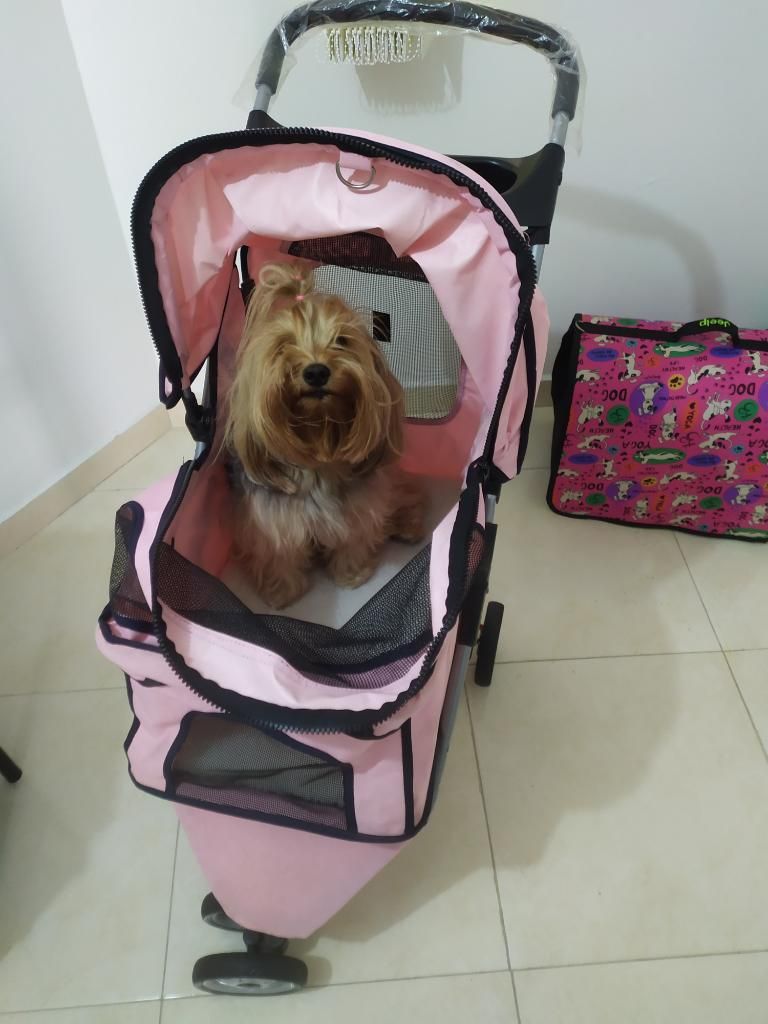 Coche para Pasear Mascota