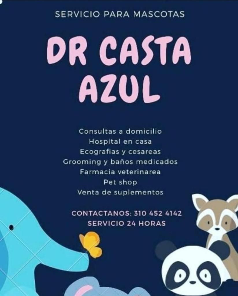 Veterinarios Domicilio Nocturno Cali